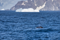 M28A4812